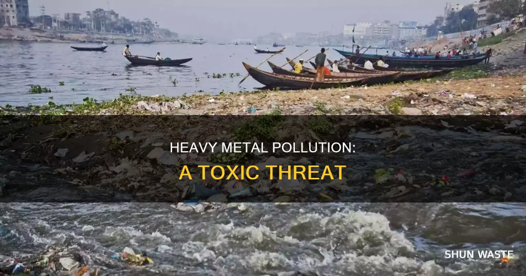 what is the heavy metal pollution