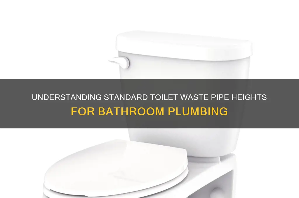 what is the height of a toilet waste pipe