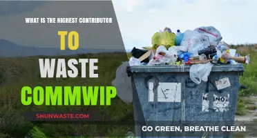Unveiling the Top Culprit Behind Skyrocketing Waste Commwip Levels
