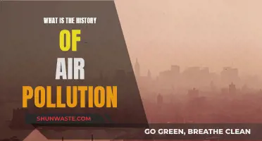 Air Pollution's Historical Journey: A Historical Perspective