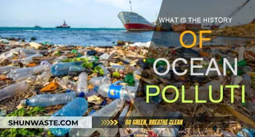 Ocean Pollution's Historical Journey