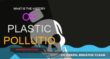 Plastic Pollution's Historical Journey