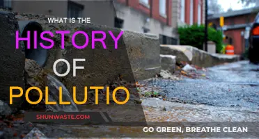 The Evolution of Pollution: A Historical Perspective
