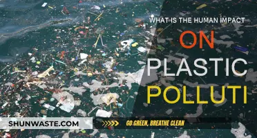 Human Impact: Plastic Pollution's Devastating Legacy