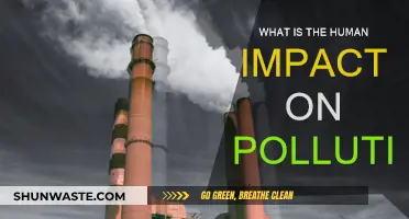 Human Impact: Pollution's Cause and Effect