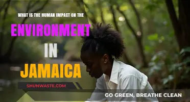 Jamaica's Environmental Crisis: Human Activities and Their Ecological Consequences