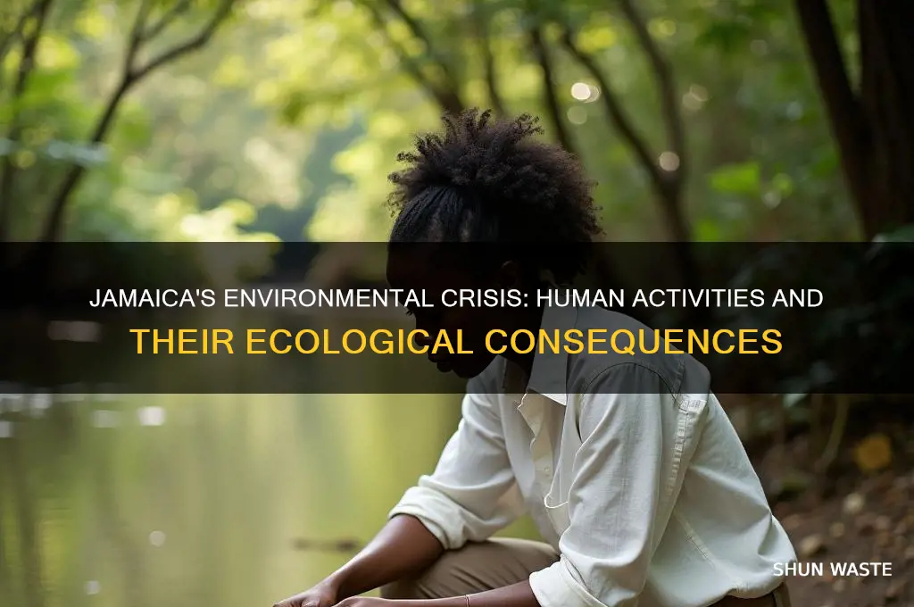 what is the human impact on the environment in jamaica