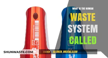 Understanding the Human Waste System: What is it Called?
