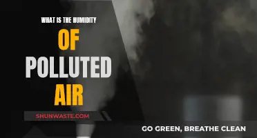 Humidity and Pollution: Understanding the Connection