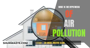 Air Pollution's Hypothesis: Understanding the Why and How