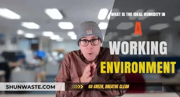 Optimal Humidity Levels for Productivity and Comfort in Workspaces