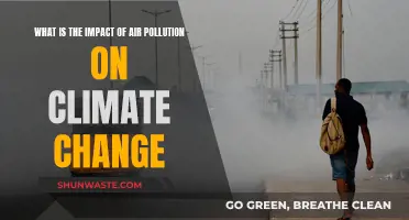 Air Pollution's Climate Change Impact: A Clear Danger