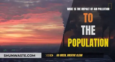 Air Pollution: A Lethal Crisis for Populations