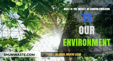 Carbon Emissions: Unveiling Their Devastating Environmental Impact and Consequences