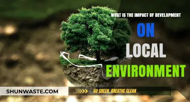 Development's Environmental Toll: Assessing Local Ecosystems and Sustainability Challenges