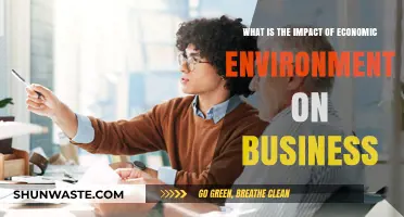Economic Environment's Influence: Shaping Business Strategies and Outcomes