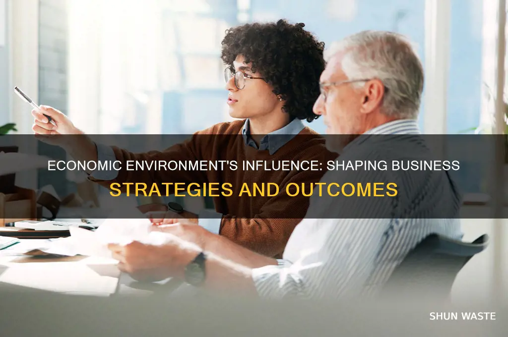 what is the impact of economic environment on business