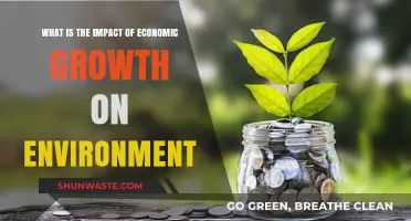 Economic Growth vs. Environmental Sustainability: Balancing Progress and Preservation