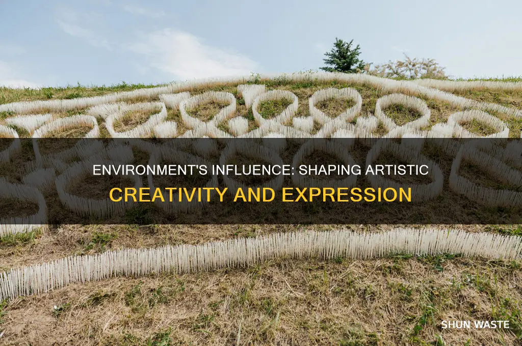 what is the impact of environment on artistic creativity