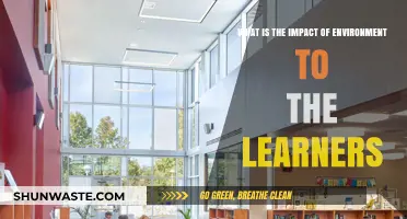 Environment's Influence: Shaping Learners' Outcomes and Educational Experiences