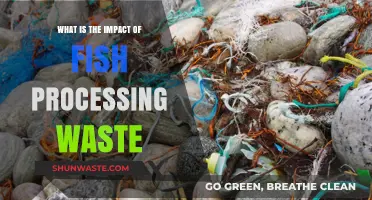 Fish Processing Waste: Environmental Impacts and Sustainable Solutions Explored
