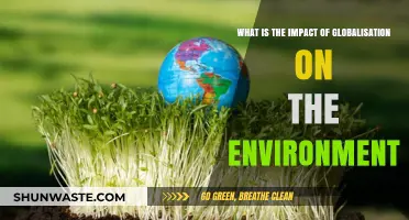 Globalization's Environmental Impact: Challenges, Consequences, and Sustainable Solutions
