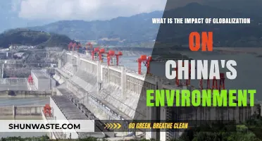 Globalization's Environmental Toll: Assessing China's Ecological Challenges and Changes