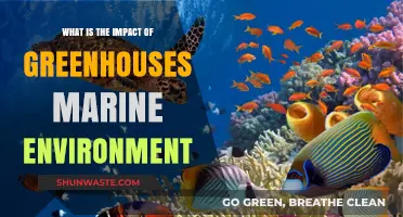 Greenhouses' Surprising Impact on Marine Ecosystems: A Comprehensive Analysis