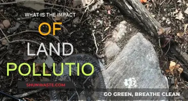 Land Pollution: A Threat to Our Environment and Health