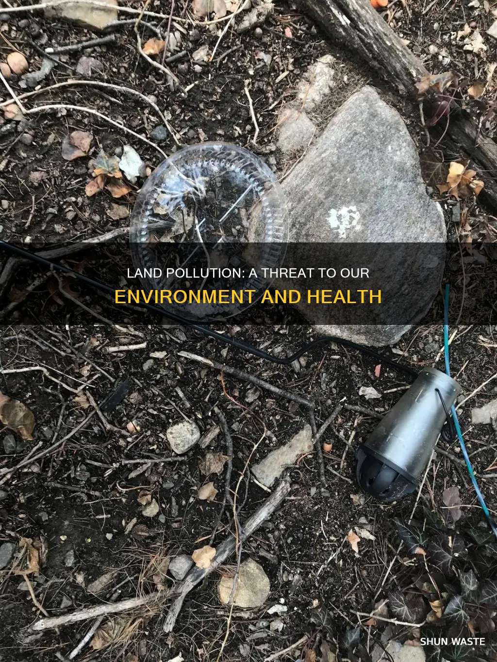 what is the impact of land pollution