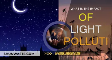 Light Pollution: Impacting Our Health and Environment