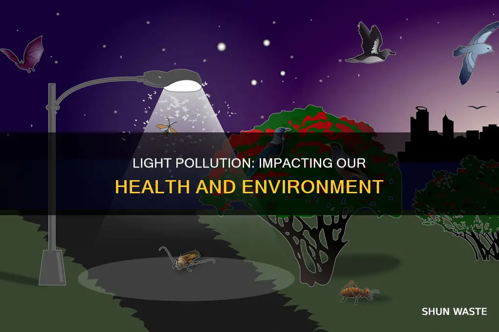 what is the impact of light pollution