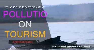 Marine Pollution: Impacting Tourism and the Ocean