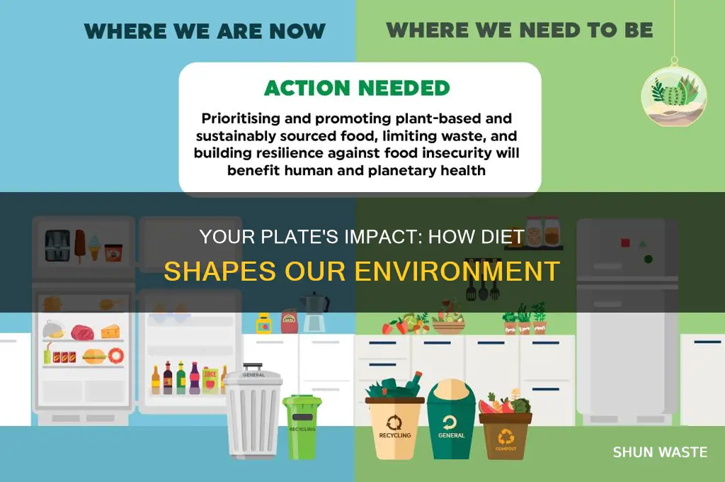 what is the impact of my diet on environment nyt