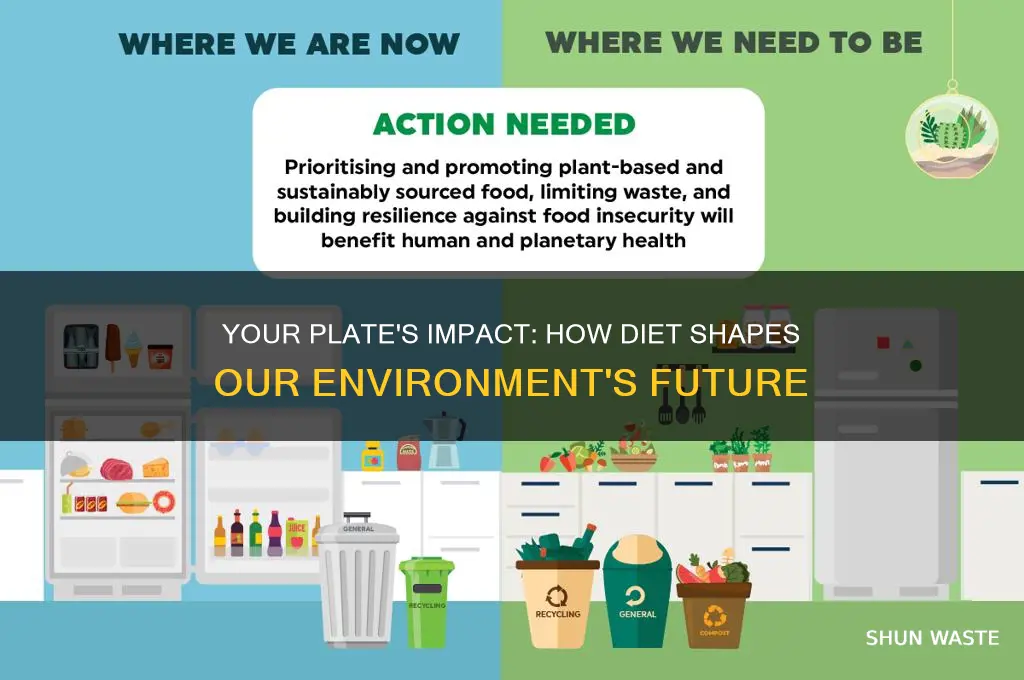 what is the impact of my diet on environment