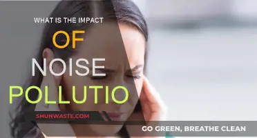 Noise Pollution: Understanding its Impact and Consequences