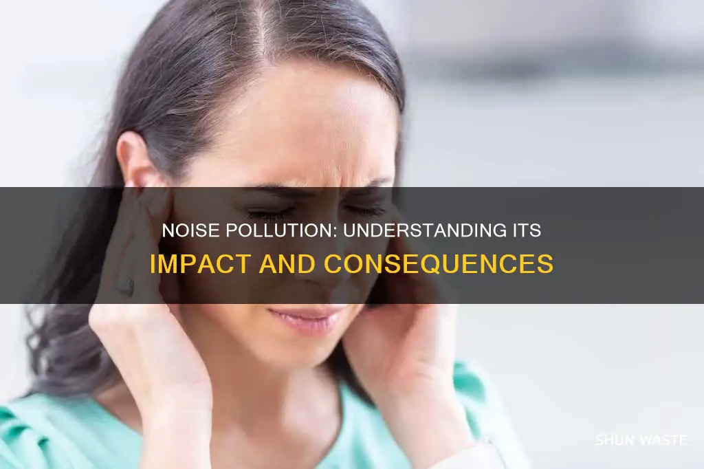 what is the impact of noise pollution