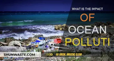Ocean Pollution: Understanding Its Devastating Impact