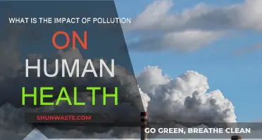 Pollution's Impact: Human Health Consequences and Costs