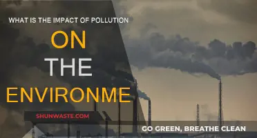 Pollution's Impact: Devastating Effects on Our Environment