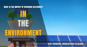 Reducing Electricity Consumption: Environmental Benefits and Sustainable Impact