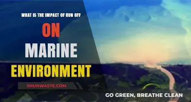 Runoff's Devastating Impact on Marine Ecosystems: Causes and Solutions