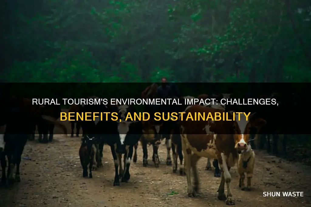 what is the impact of rural tourism on environment