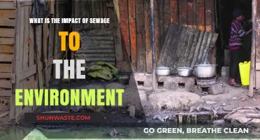 Sewage's Devastating Environmental Impact: Pollution, Ecosystems, and Public Health