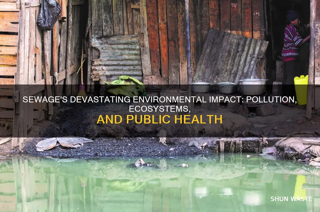 what is the impact of sewage to the environment