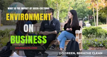 Socio-Cultural Influences: Shaping Business Strategies and Market Dynamics
