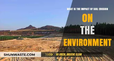 Soil Erosion's Devastating Environmental Impact: Causes, Effects, and Solutions