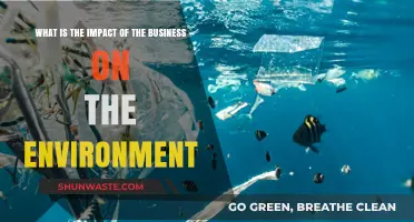 Business and Nature: Exploring the Environmental Impact of Corporate Practices