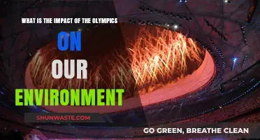 Olympic Games' Environmental Impact: Sustainability Challenges and Opportunities