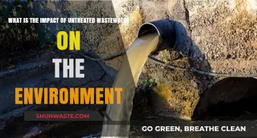 Untreated Wastewater: Devastating Environmental Impacts and Urgent Solutions Needed